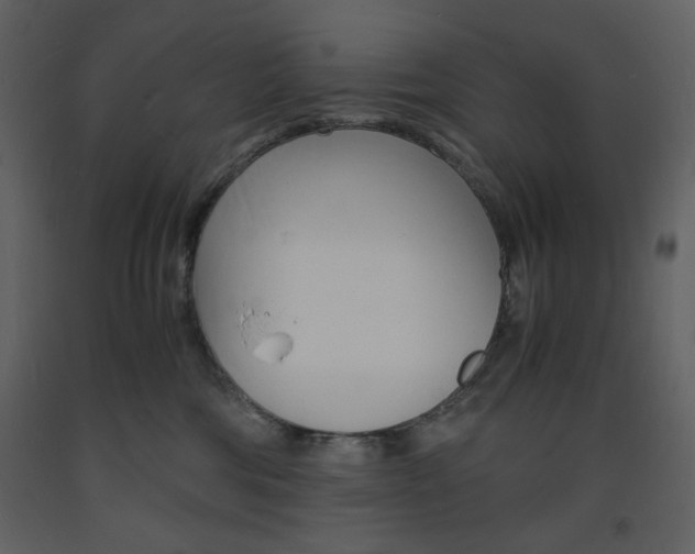 X0000094060330200710190939