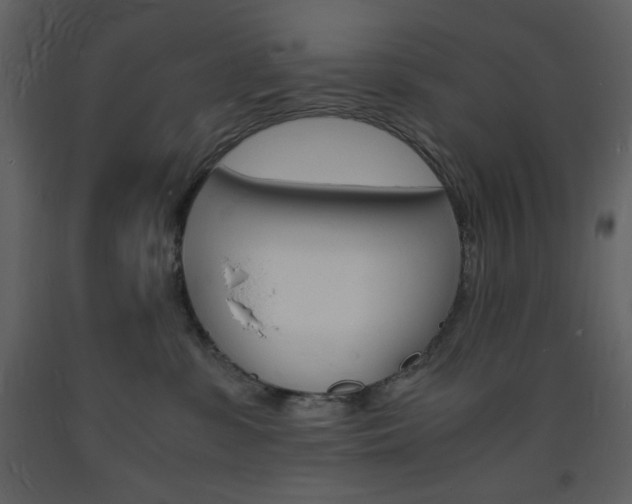 X0000094060331200710190939