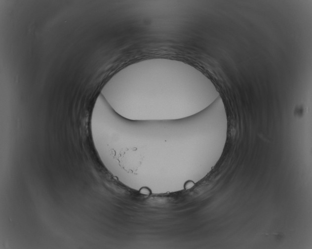X0000094060332200710190939