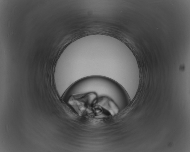 X0000094060333200710190939