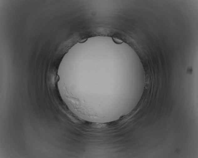 X0000094060334200710190939