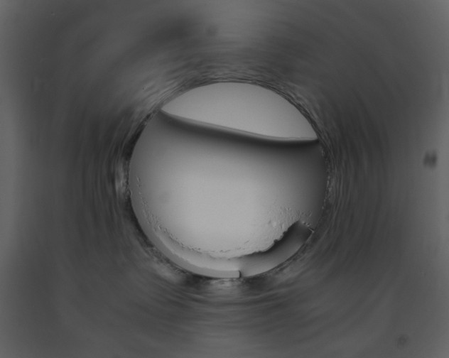 X0000094060335200710190939