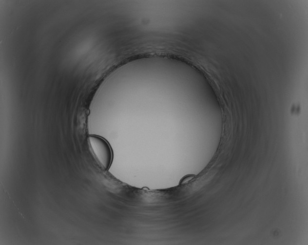 X0000094060336200710190939