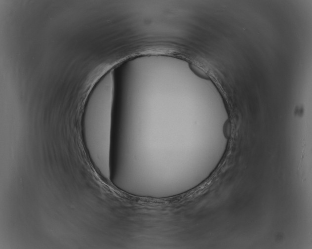 X0000094060337200710190938