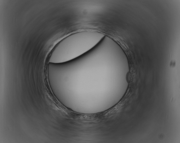 X0000094060338200710190938