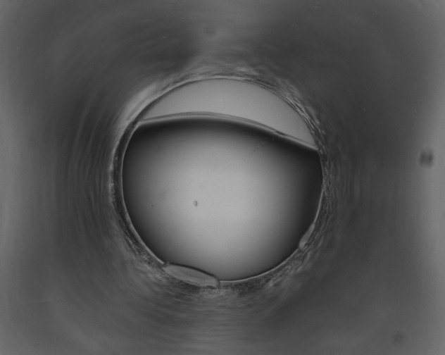 X0000094060340200710190938