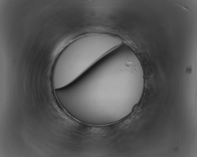 X0000094060341200710190938