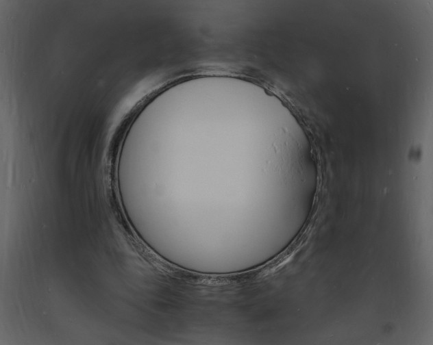 X0000094060343200710190938