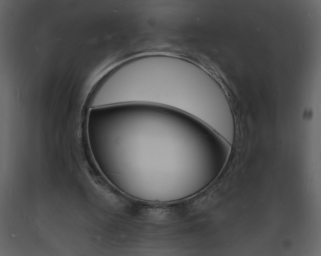 X0000094060344200710190938