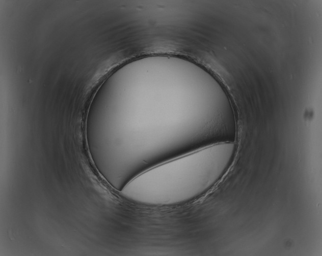 X0000094060345200710190938