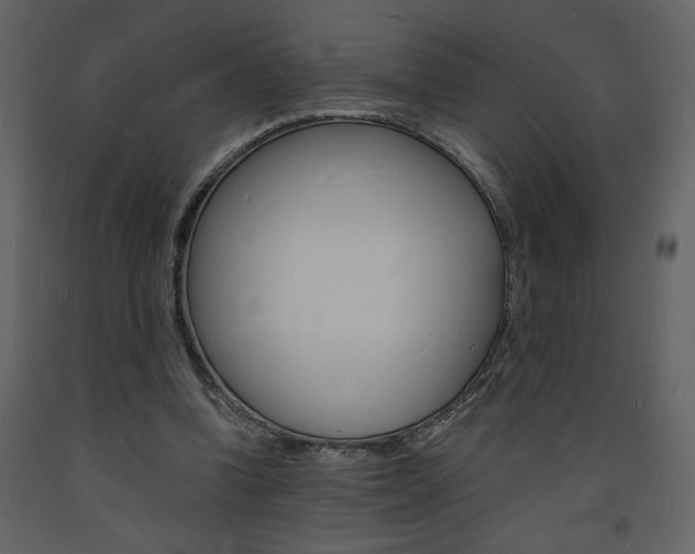 X0000094060346200710190938