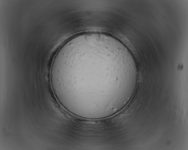 X0000094060347200710190938