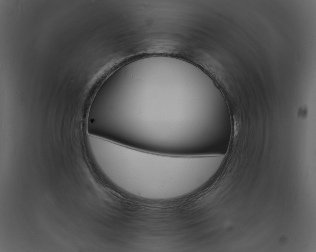 X0000094060348200710190938