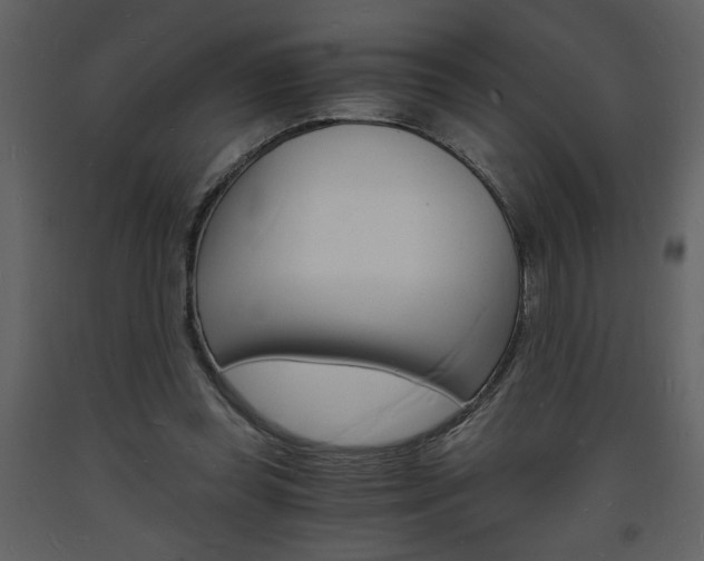 X0000094060349200710190938