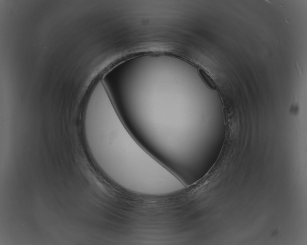 X0000094060350200710190938