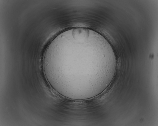 X0000094060351200710190938