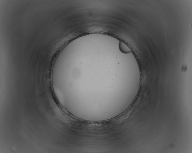 X0000094060353200710190938