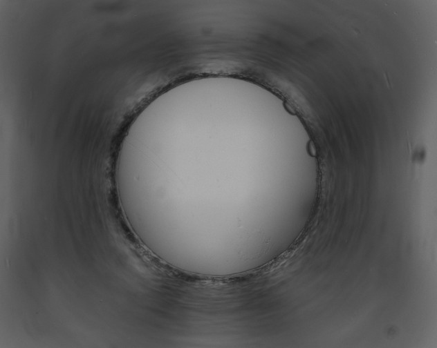 X0000094060354200710190938