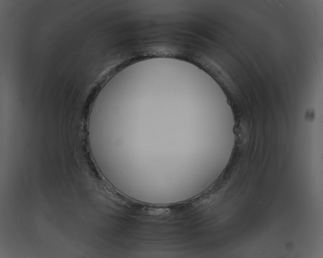 X0000094060355200710190938