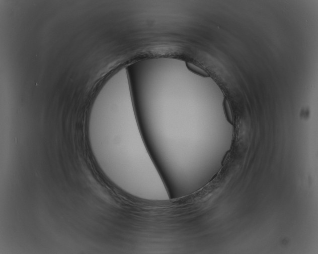X0000094060356200710190938