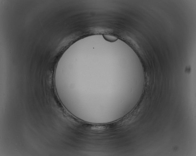 X0000094060357200710190938