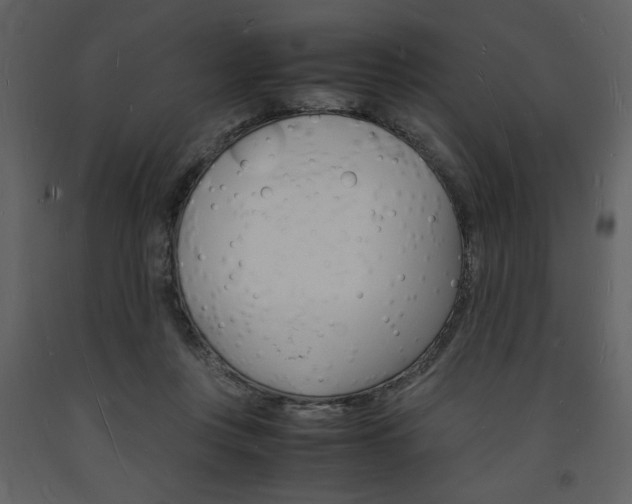 X0000094060359200710190938