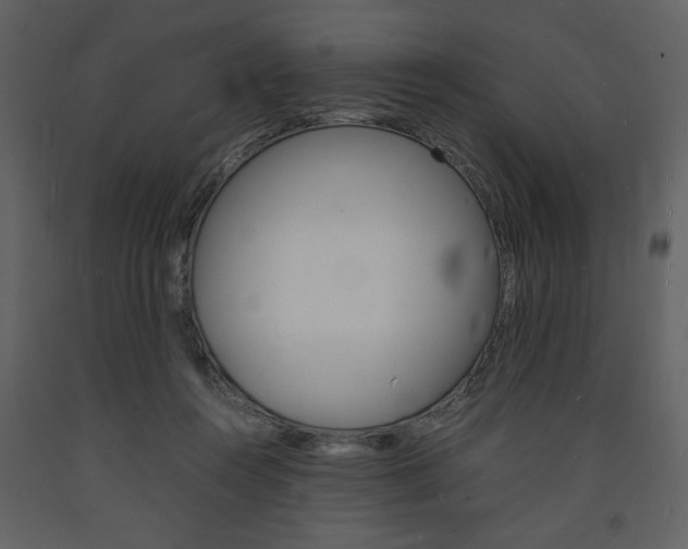 X0000094060360200710190938