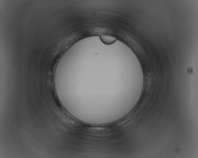 X0000094060361200710190938