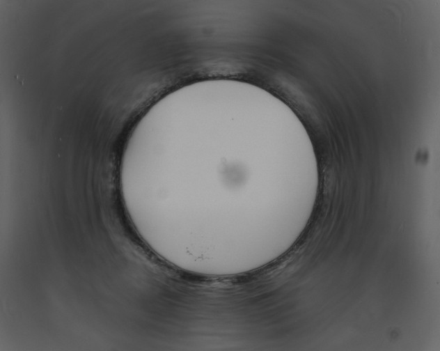 X0000094060362200710190938