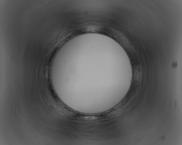 X0000094060363200710190938
