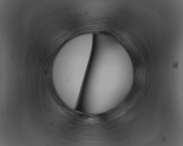 X0000094060364200710190938