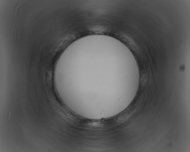 X0000094060365200710190938