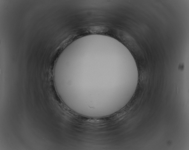 X0000094060367200710190938