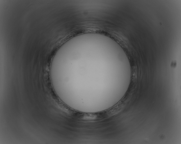 X0000094060369200710190938