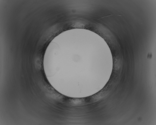 X0000094060370200710190938