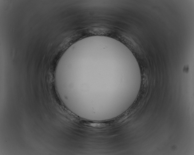 X0000094060371200710190938