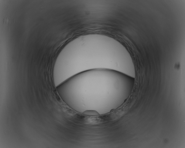 X0000094060372200710190938