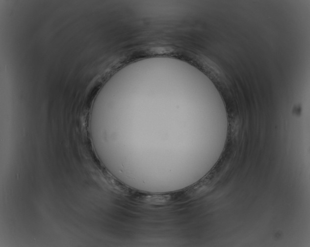 X0000094060373200710190938