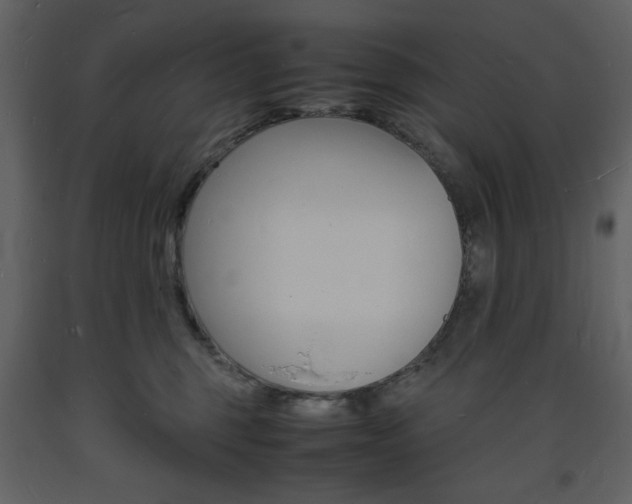 X0000094060375200710190938