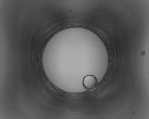 X0000094060376200710190938