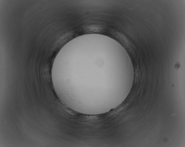 X0000094060377200710190938