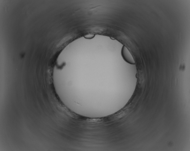 X0000094060378200710190938
