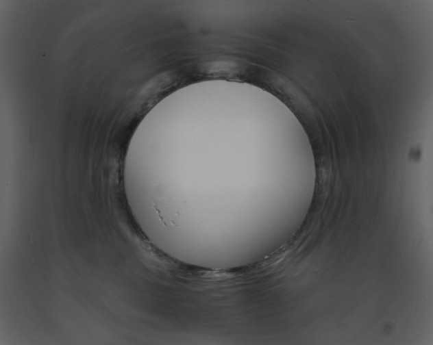 X0000094060379200710190938