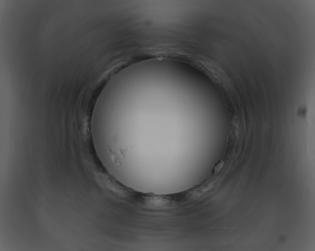 X0000094060380200710190938