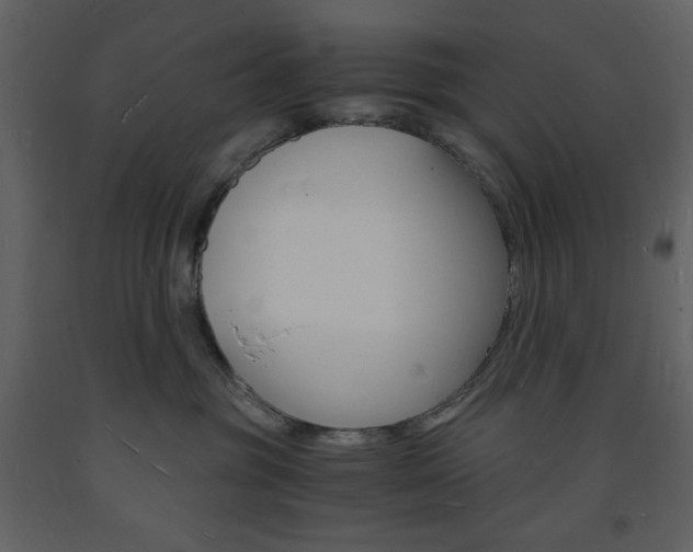 X0000094060381200710190938
