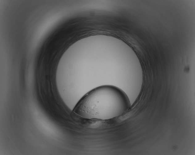 X0000094060382200710190938