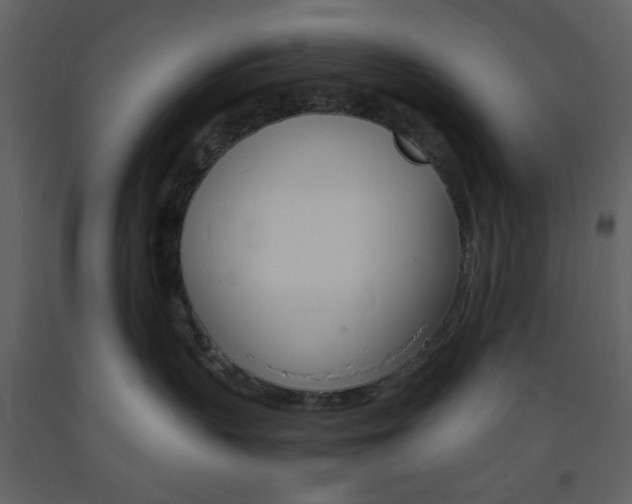 X0000094060383200710190939