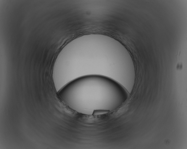 X0000094060384200710190939