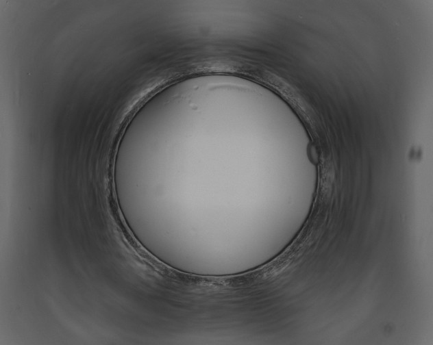 X0000094060386200710190938