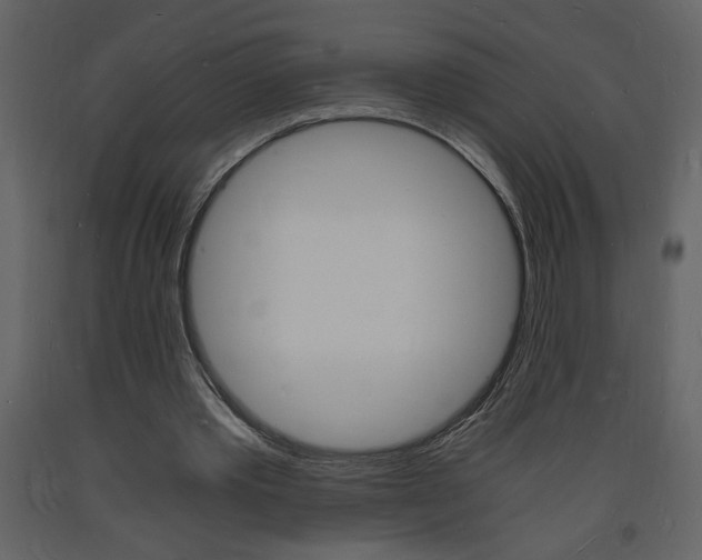 X0000094060389200710190938